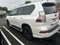 2023 Lexus GX 460 PREMIUM PLUS